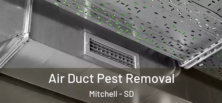  Air Duct Pest Removal Mitchell - SD