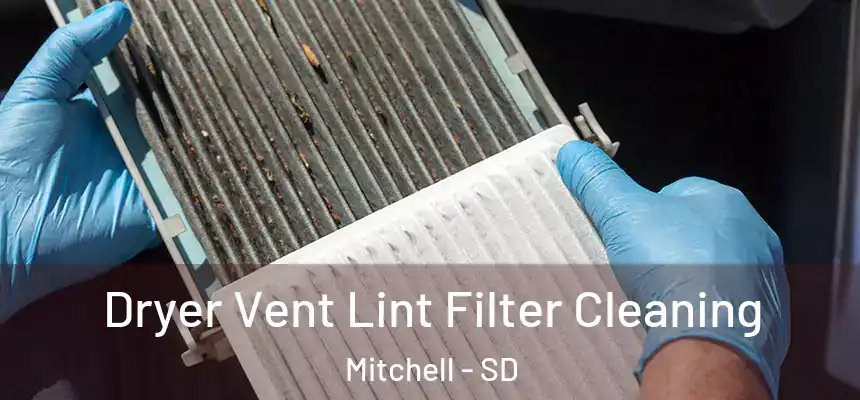  Dryer Vent Lint Filter Cleaning Mitchell - SD