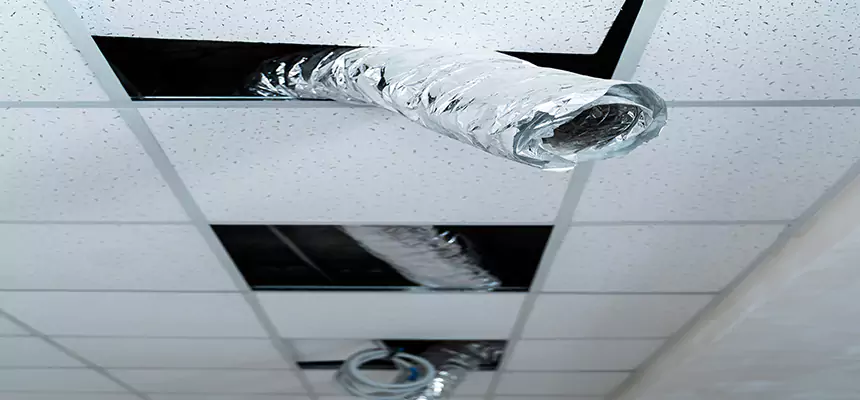 Affordable HVAC Sanitizing After Pest Removal in Mitchell