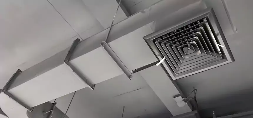 Restorative Allergy Relief Vent Cleaning – Coil, Blower & Housing Detail in Mitchell