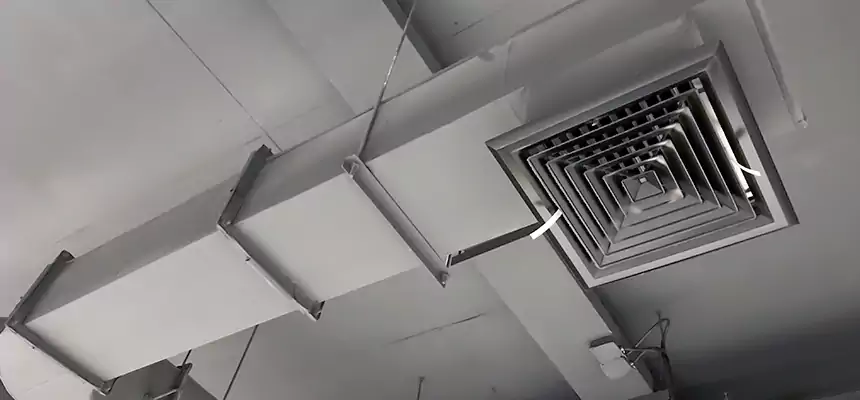 Our Pest Removal From Ducts Services in Mitchell, SD