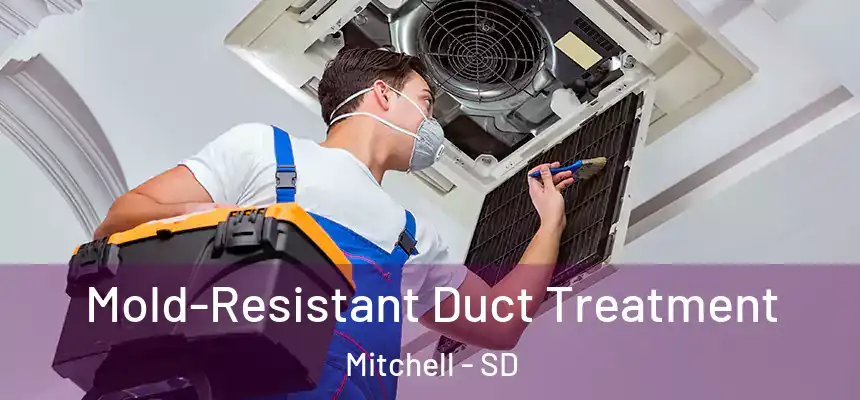  Mold-Resistant Duct Treatment Mitchell - SD