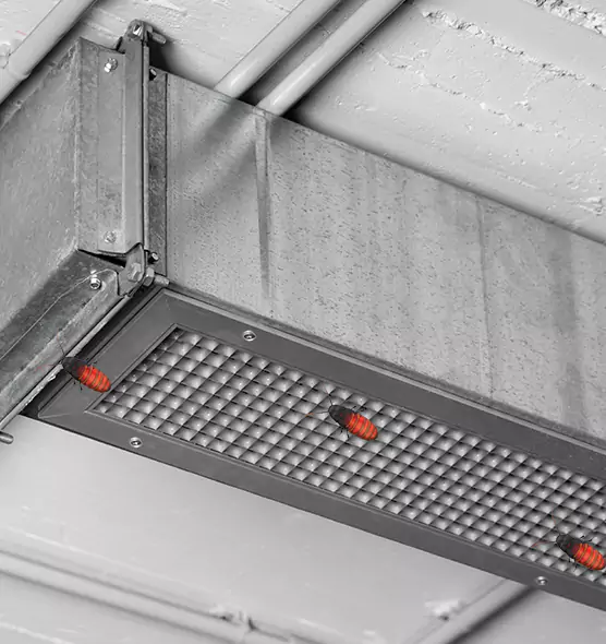 About Air Duct Cockroach Removal in Mitchell, SD
