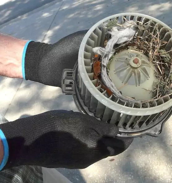 About Air Duct Mice Removal in Mitchell, SD